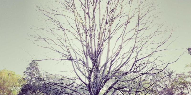 丰华天翔数控:掌握这十大关键步骤与周期,让您的零件加工设备高效运转十年